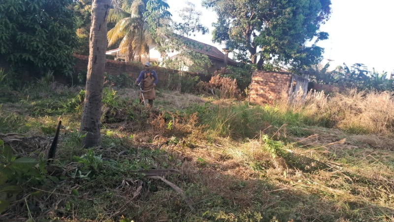 foto Not&iacute;cia ROLIM DE MOURA